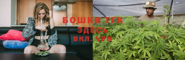 стаф Осташков