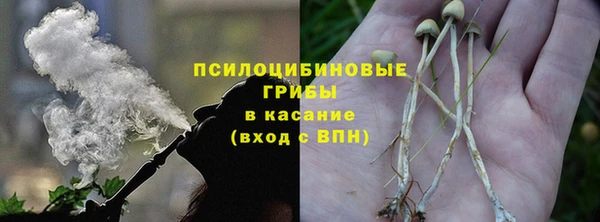стафф Гатчина