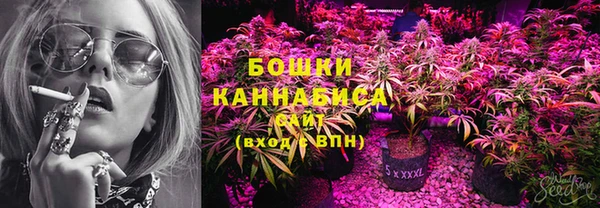 прущая мука Няндома