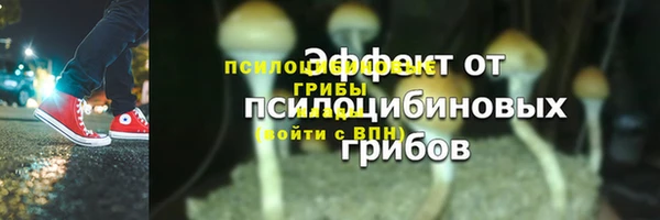 хмурый Нягань