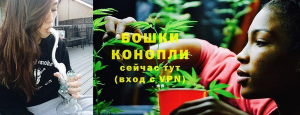 амф Осинники