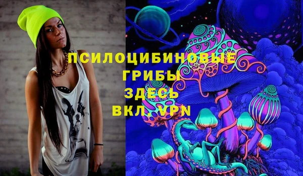 прущая мука Няндома