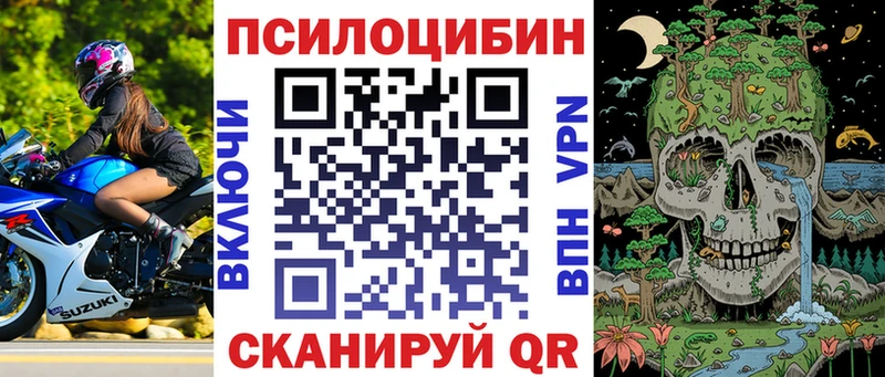 как найти закладки  Шарыпово  мориарти как зайти  Галлюциногенные грибы GOLDEN TEACHER 