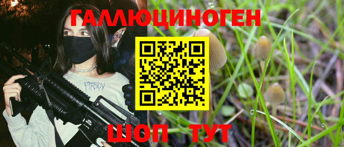 Галлюциногенные грибы мицелий  где найти   Галлюциногенные грибы ЛСД  Шарыпово 