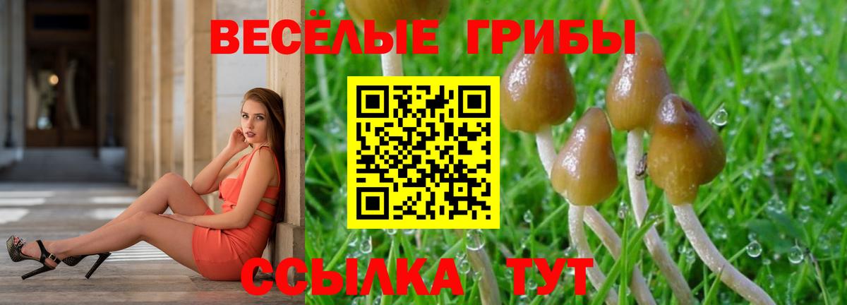 Галлюциногенные грибы мицелий Шарыпово